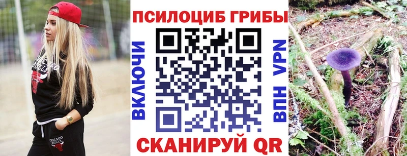 Псилоцибиновые грибы ЛСД  закладка  Свирск 